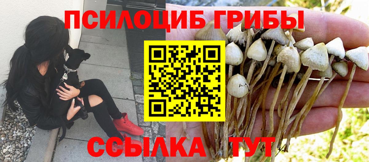 Галлюциногенные грибы ЛСД Фрязино